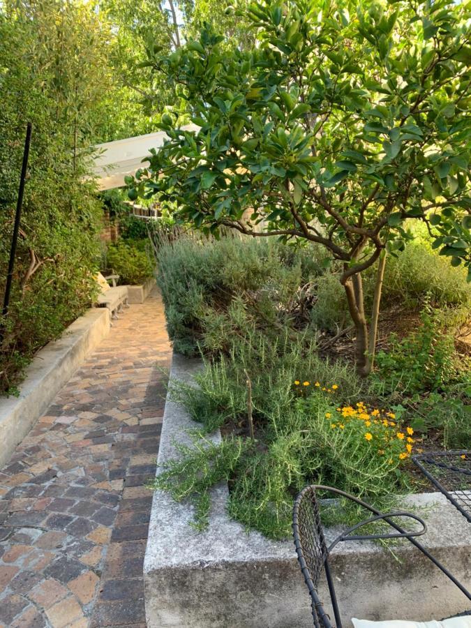 Courtyard Studio Lights And Wi Fi During Load Shedding Stellenbosch Exteriör bild