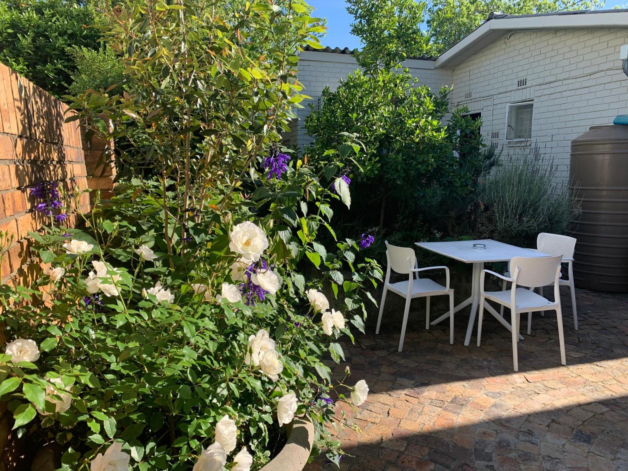 Courtyard Studio Lights And Wi Fi During Load Shedding Stellenbosch Exteriör bild